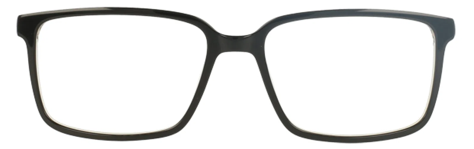 Stetson SX48 Eyeglasses - view 8